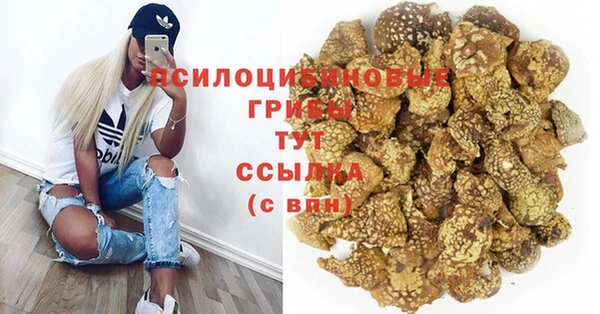 хмурый Алзамай
