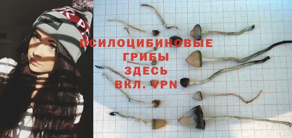 PSILOCYBIN Алексин