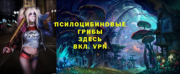 хмурый Алзамай