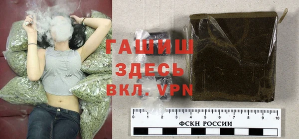 индика Абаза