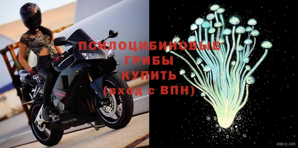 PSILOCYBIN Алексин