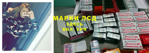 индика Абаза