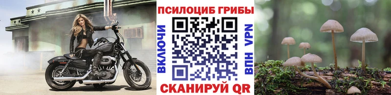 что такое   Динская  Псилоцибиновые грибы ЛСД 